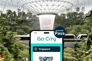 Actividad - Pase Essentials Go City Singapur: Visita 3 atracciones principales