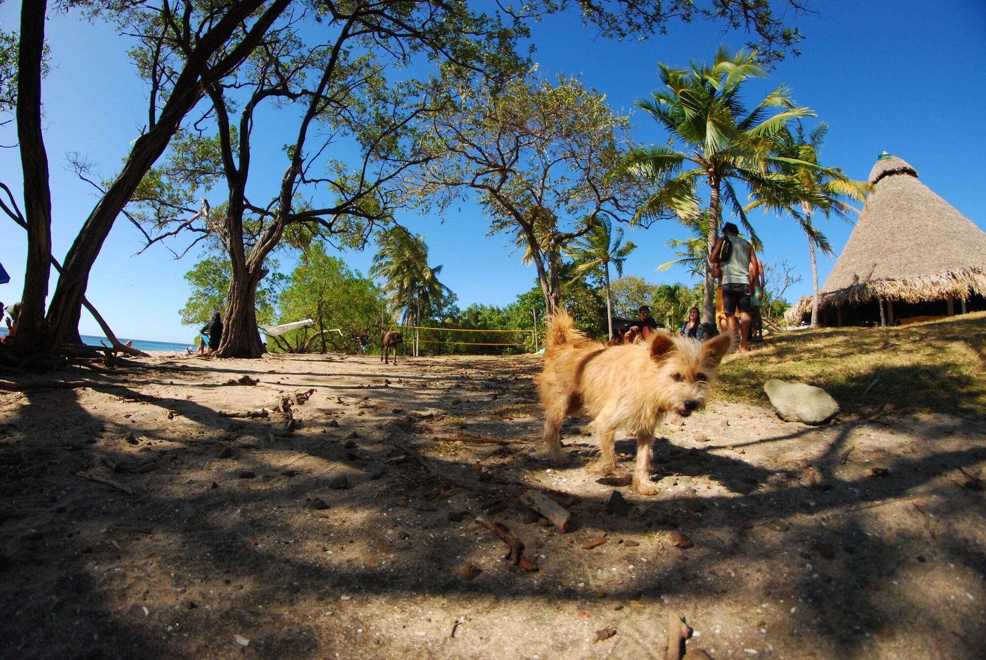 Vista Exterior Hotel Playa Negra