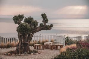 Alojamiento - Aliv Stone Suites & Spa