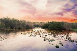 Alquiler Vacacional - Guest house in Everglades estates by the water