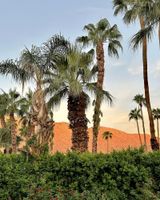 Alojamiento - Vista Grande Resort - A Gay Men's Resort