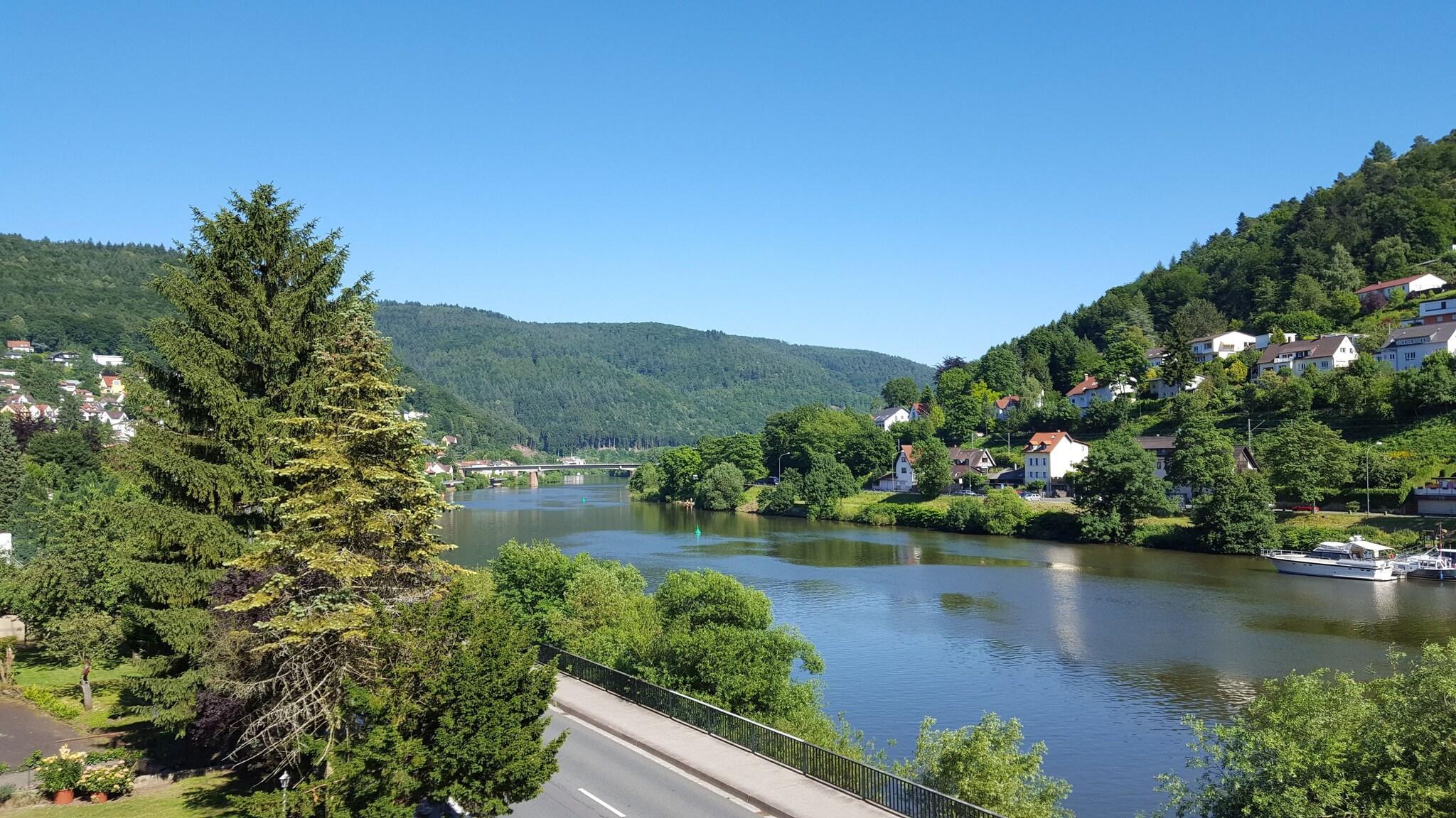 Instalaciones Recreativas Hotel Neckarlux