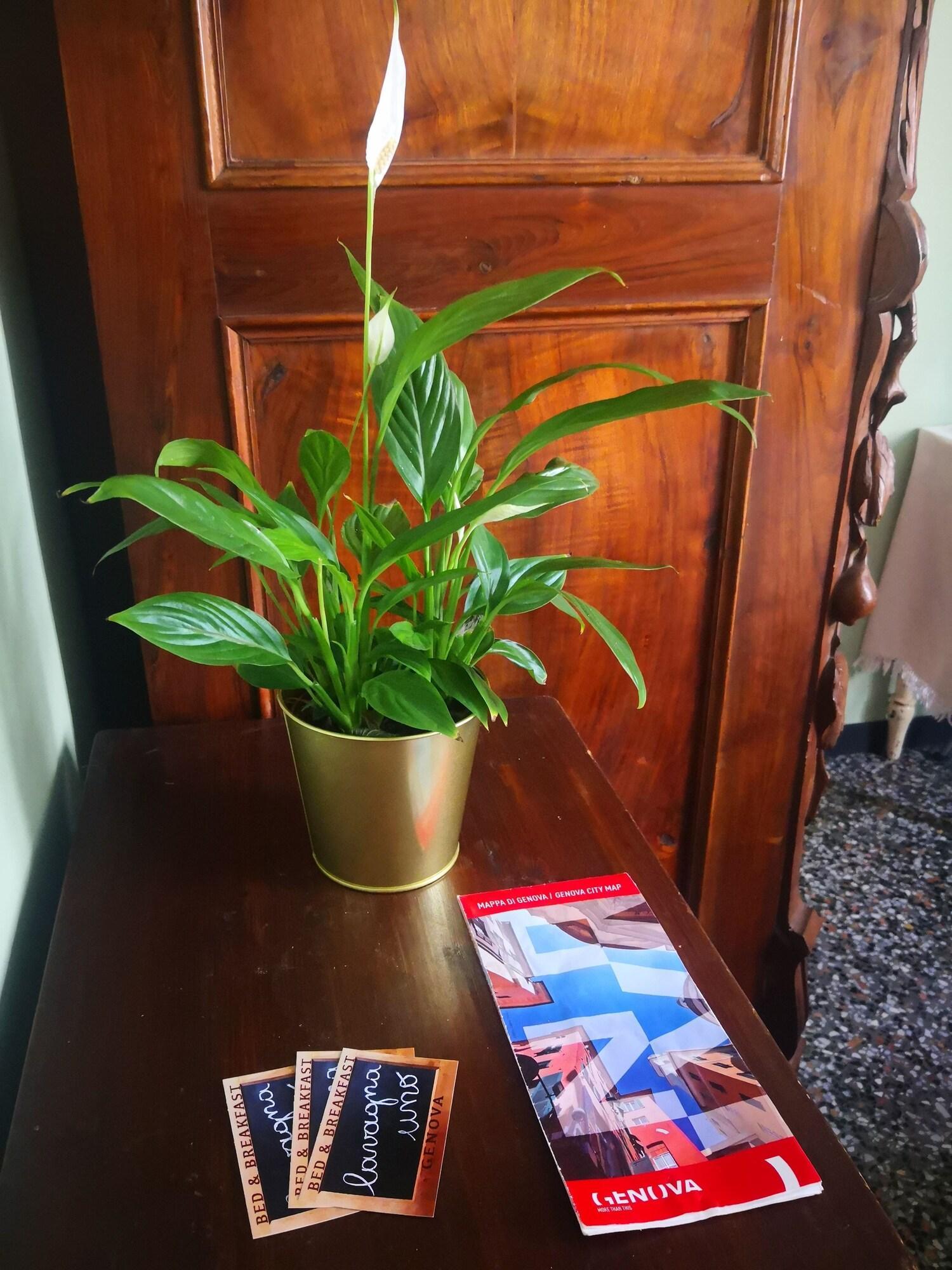 Vista Lobby B&B Lavagna Uno
