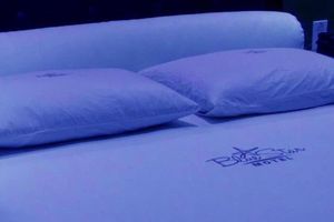 Alojamiento - Motel Blue Star II