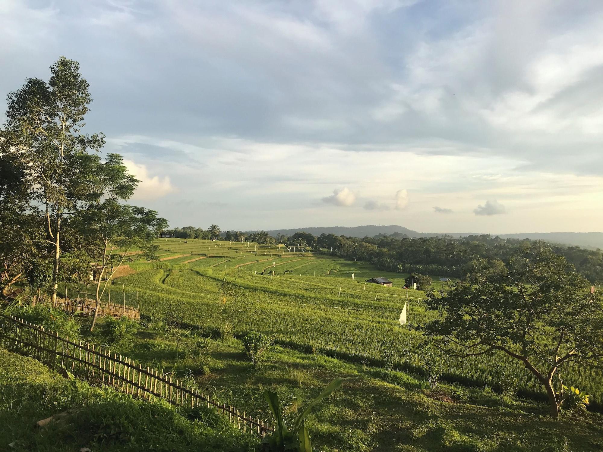 Playa Peaceful Organic Farmhouse Retreat with Stunning Views