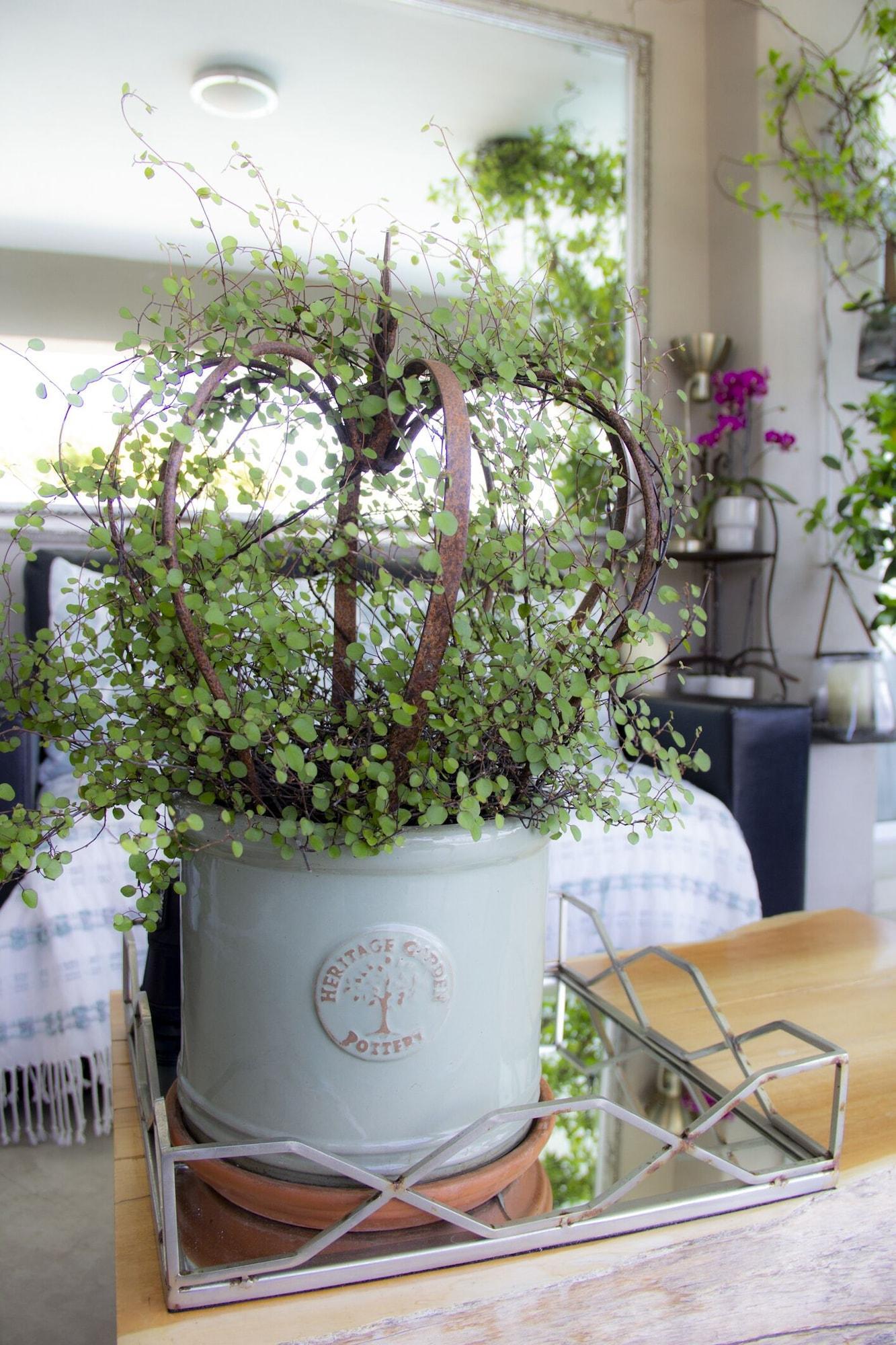 Vista Exterior Residence William French