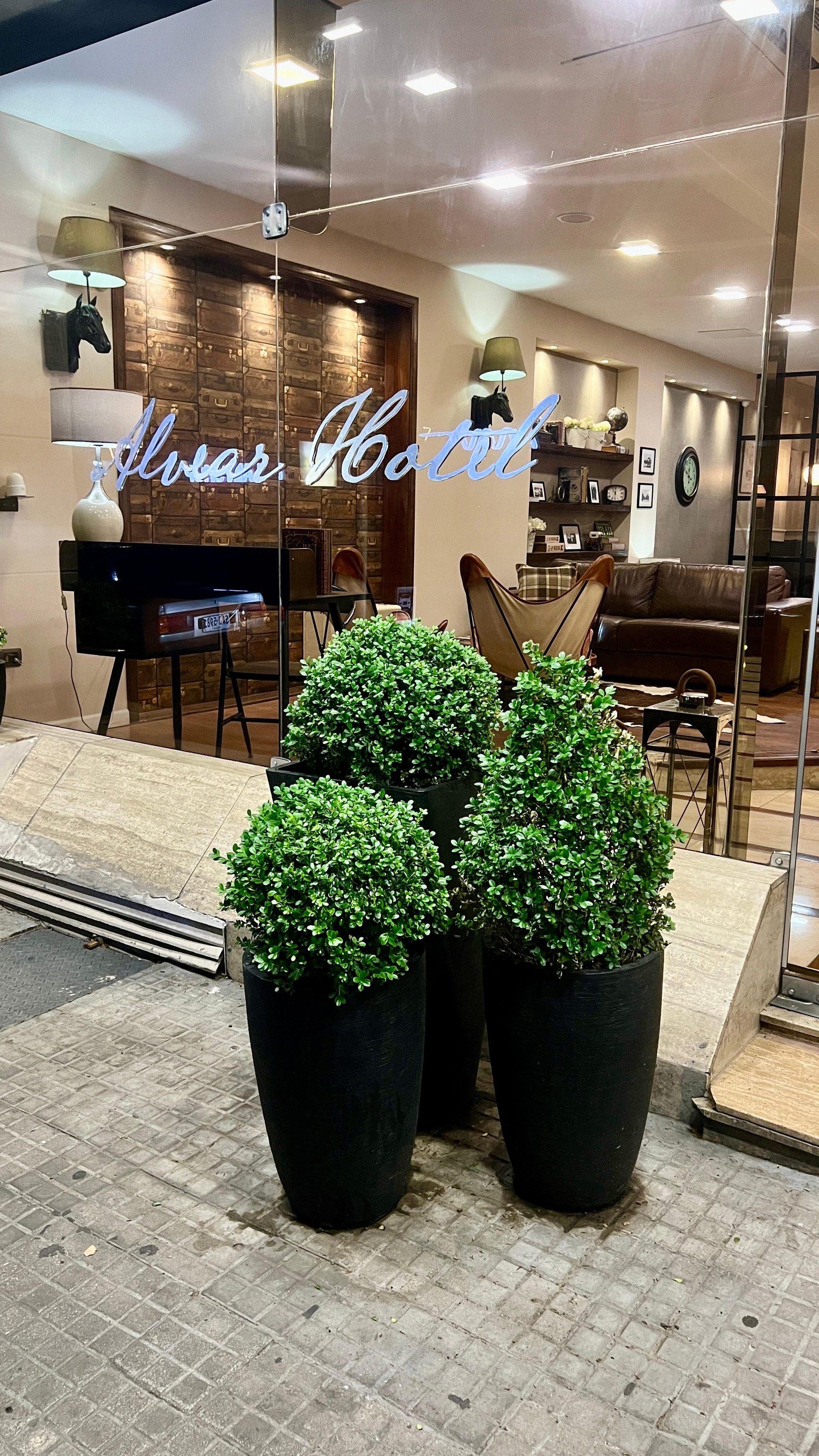 Vista Exterior Alvear Hotel