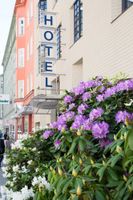 Alojamiento - Hotel Central