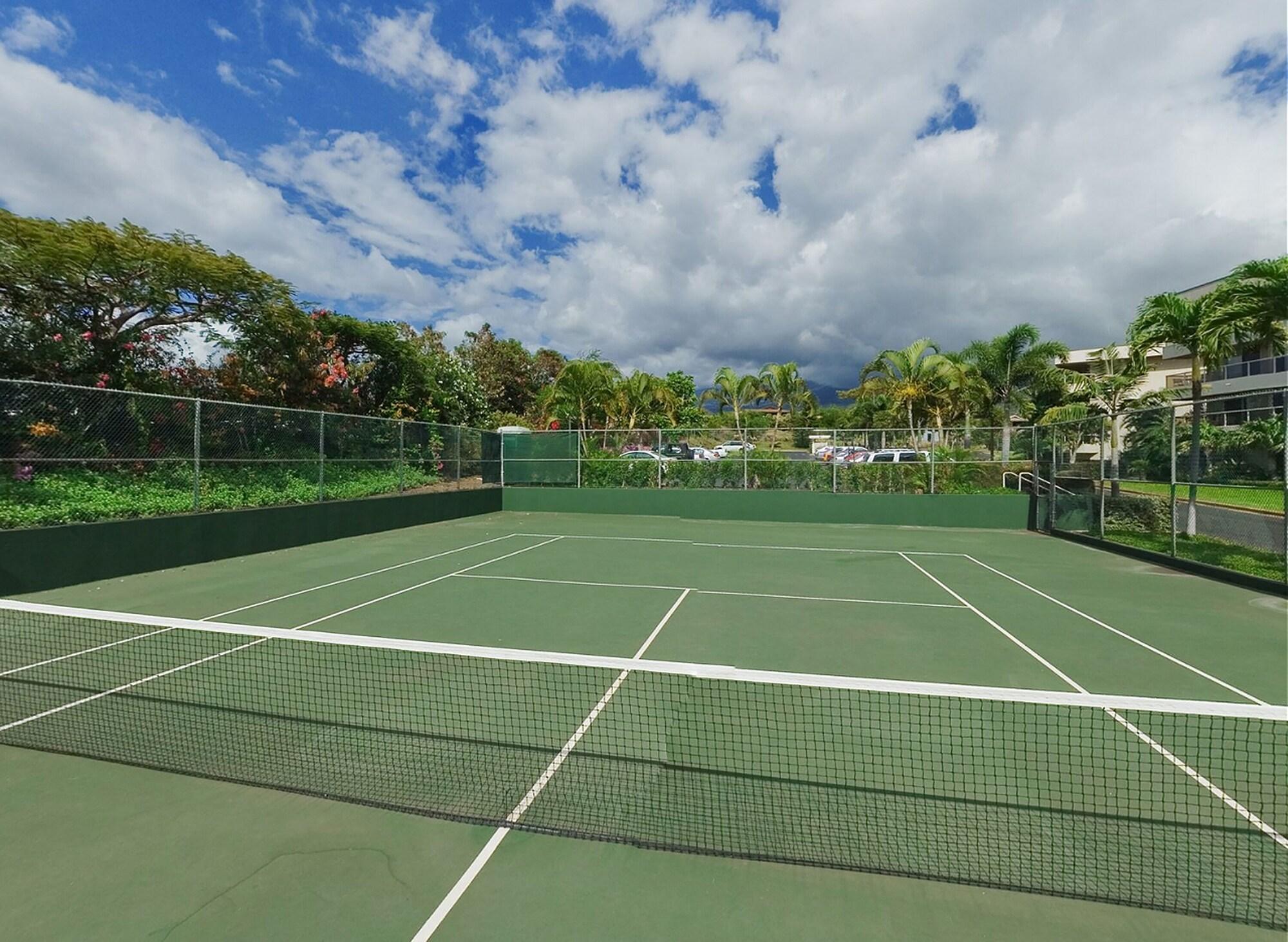Instalaciones Recreativas AEI at Maui Banyan