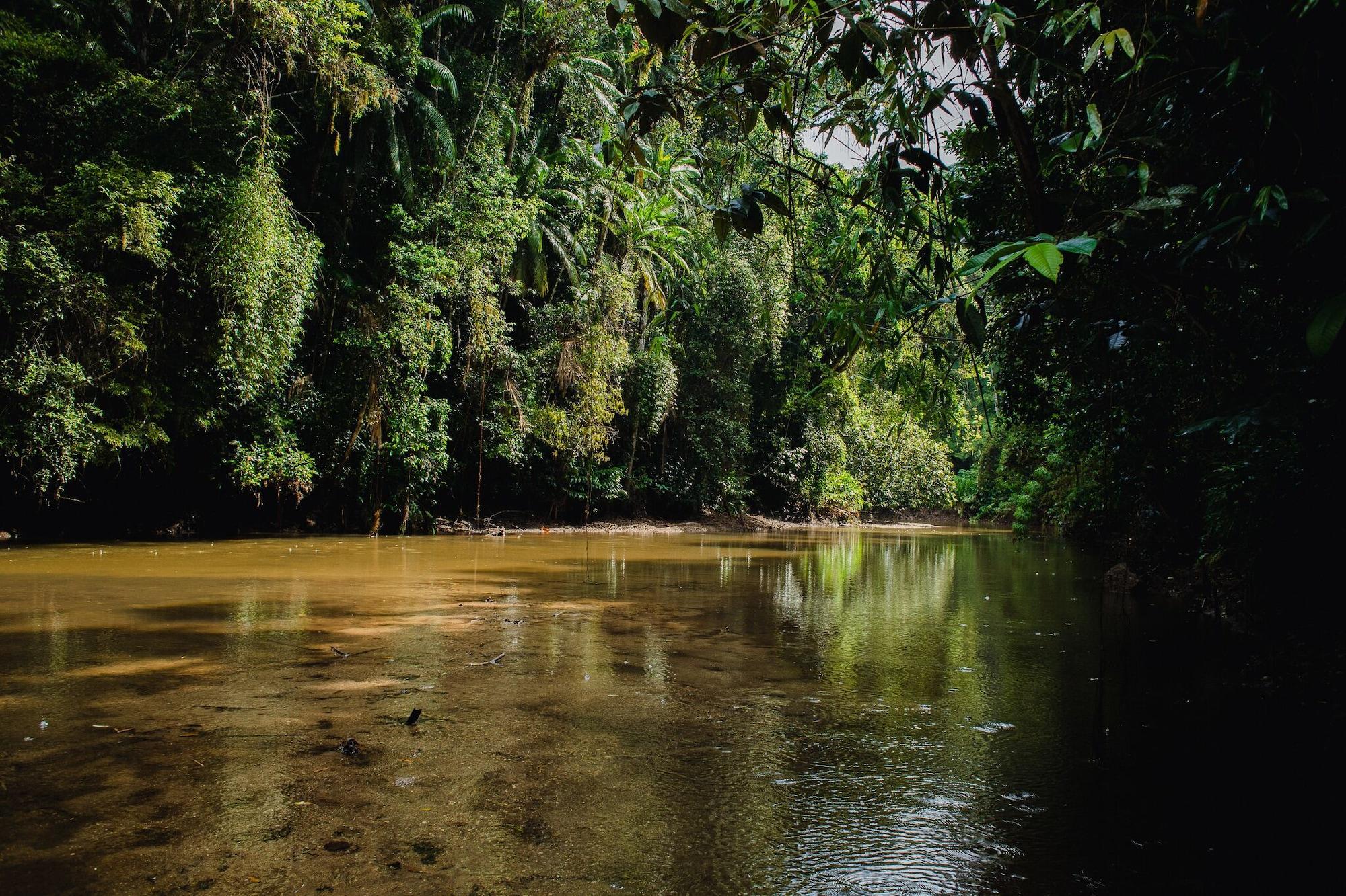 Instalaciones Recreativas Amadamata Refúgio Ecológico