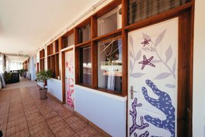 Alojamiento - Ocean Nomads Hostel