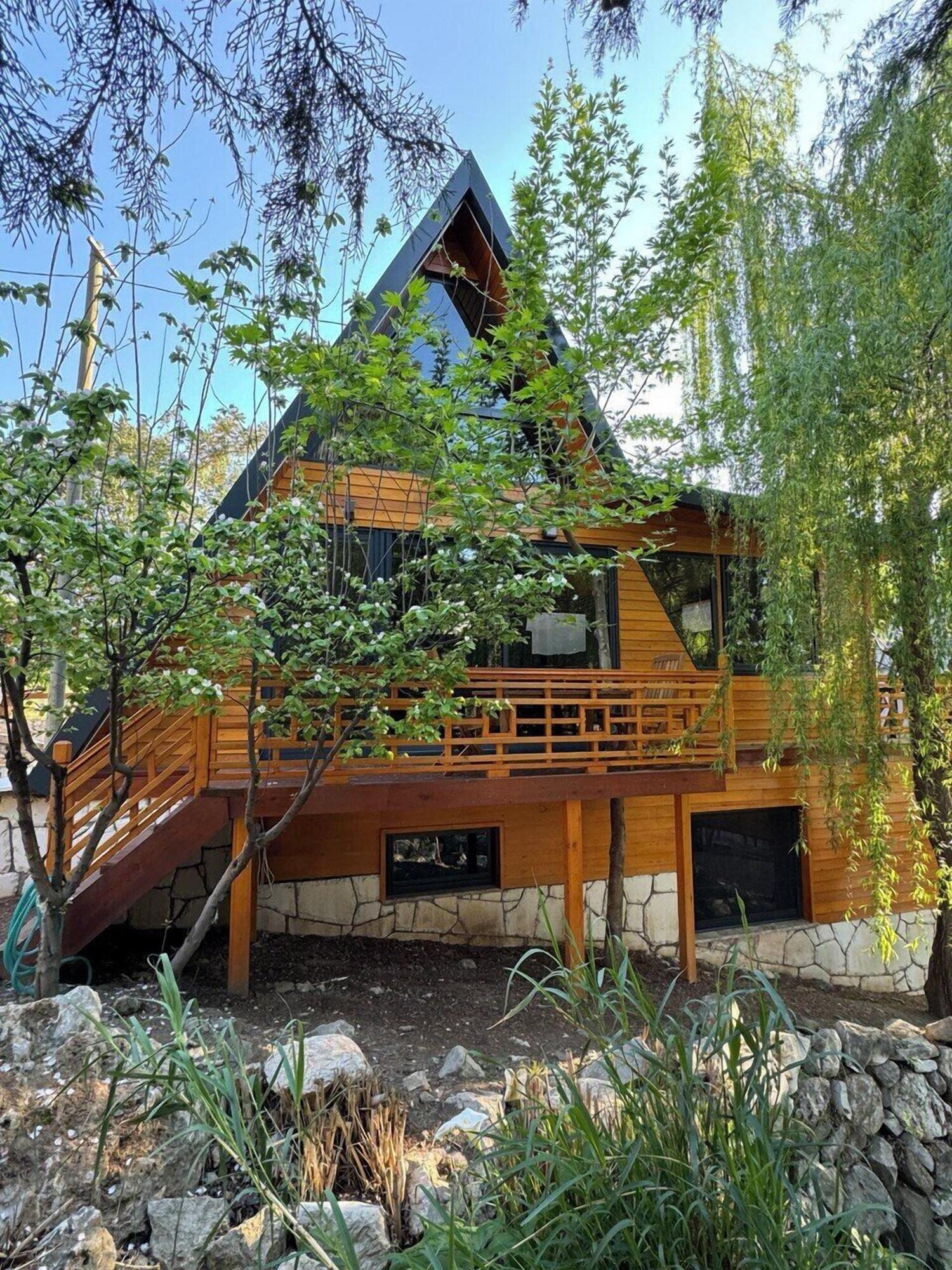 Equipamiento de Habitación Trinitys Forest Bungalows