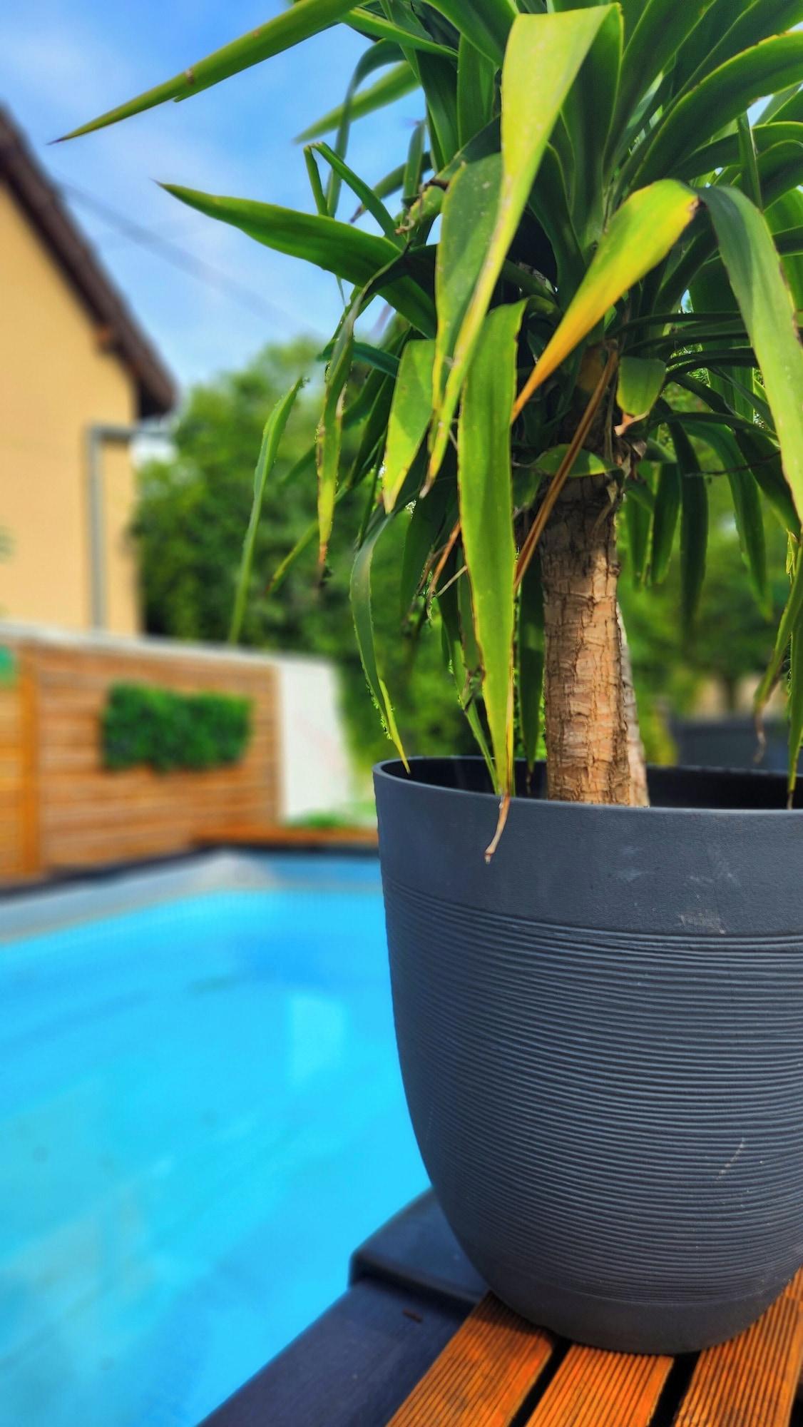 Vista Piscina La magnifique Villa