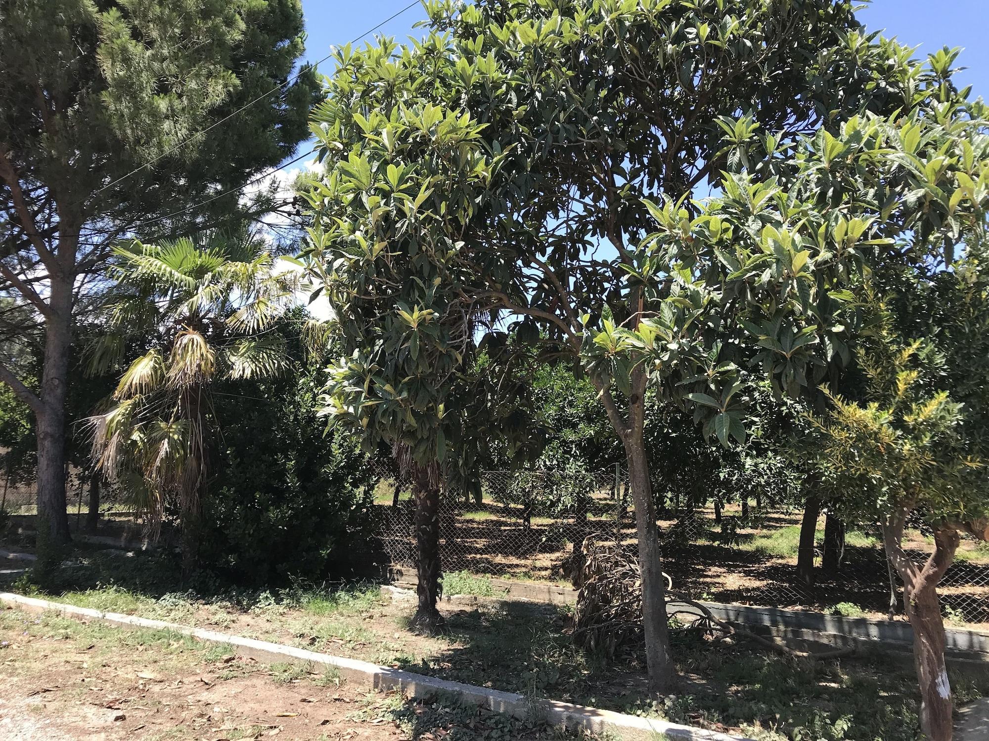 Vista Exterior Taygetos