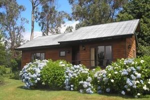 Alojamiento - Las Juntas Ecolodge