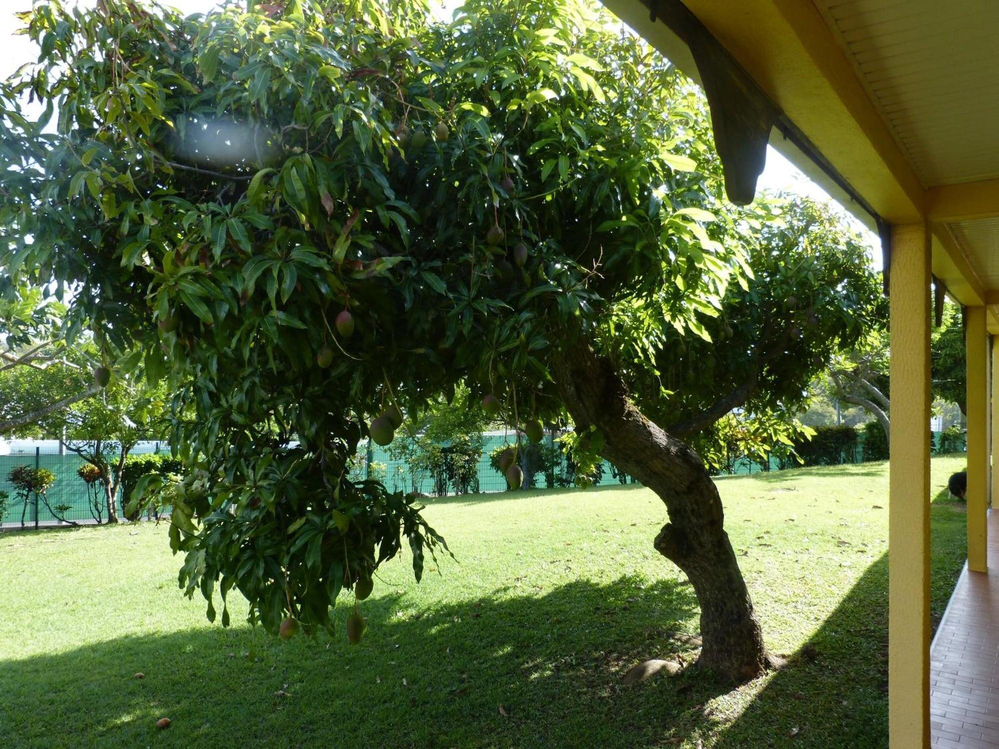 Comodidades del Alojamiento Airport Hotel