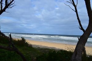 Alojamiento - The Lorikeet Tourist Park
