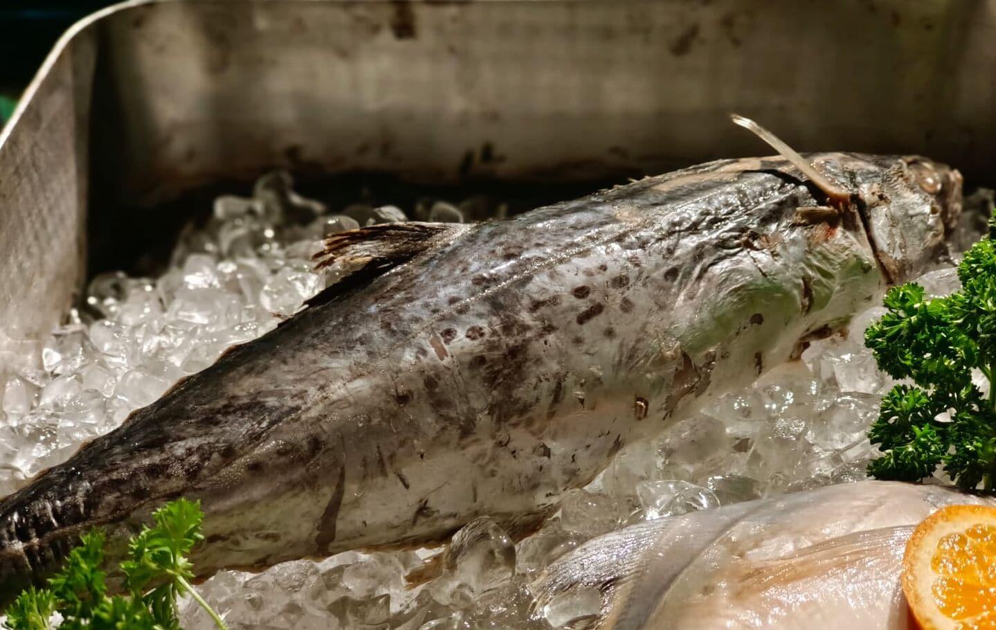 Vista Lobby Evershine Resort & Spa