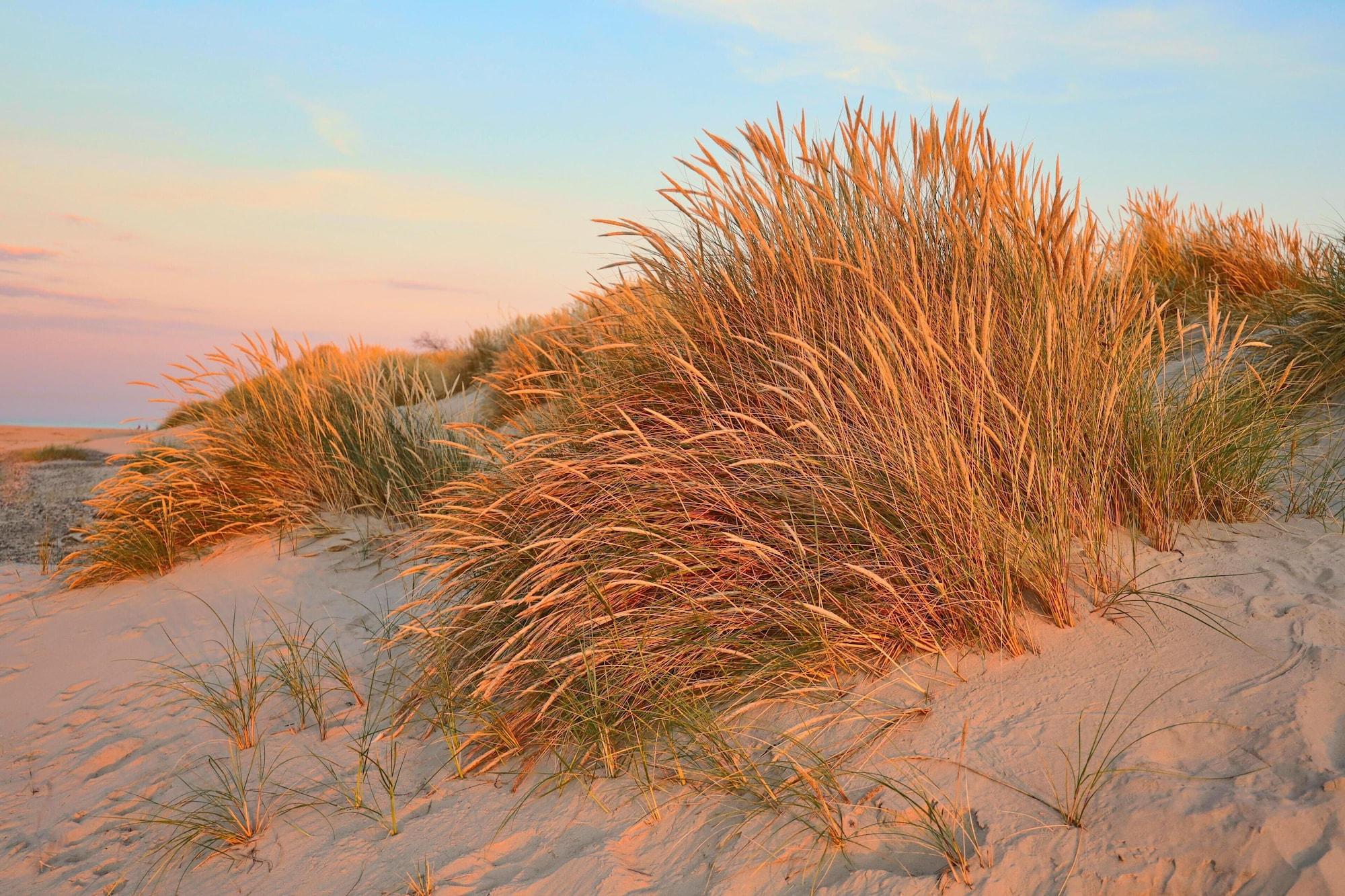 Playa Hotel Strandly Skagen