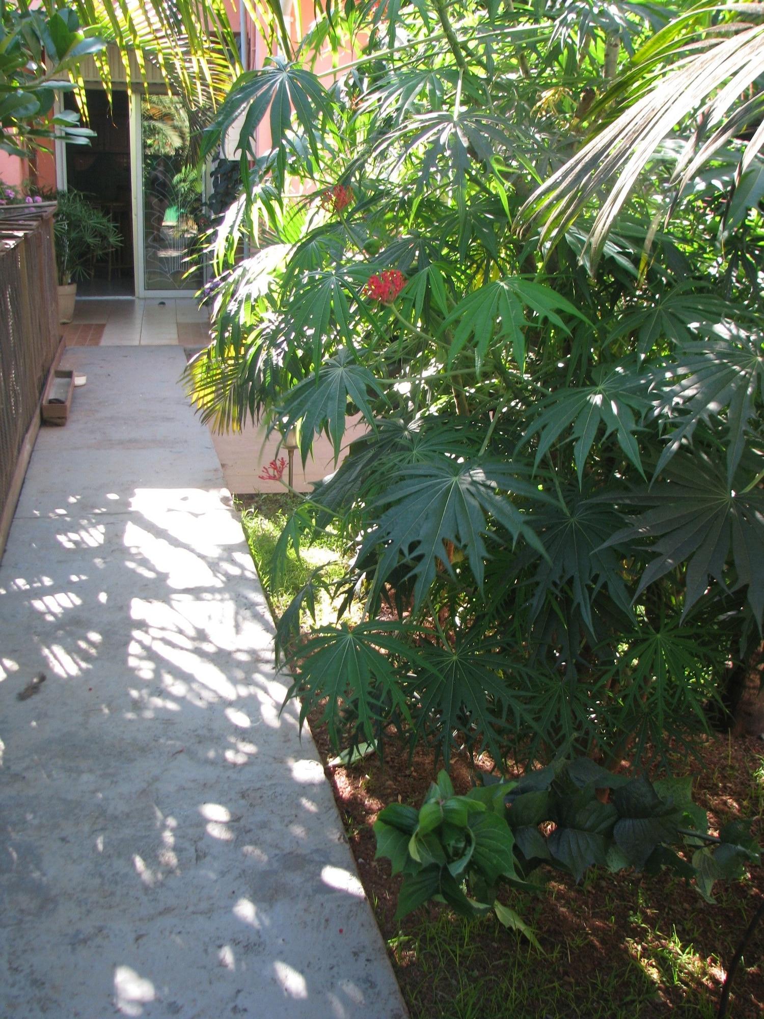 Vista Lobby Avamada Lodge