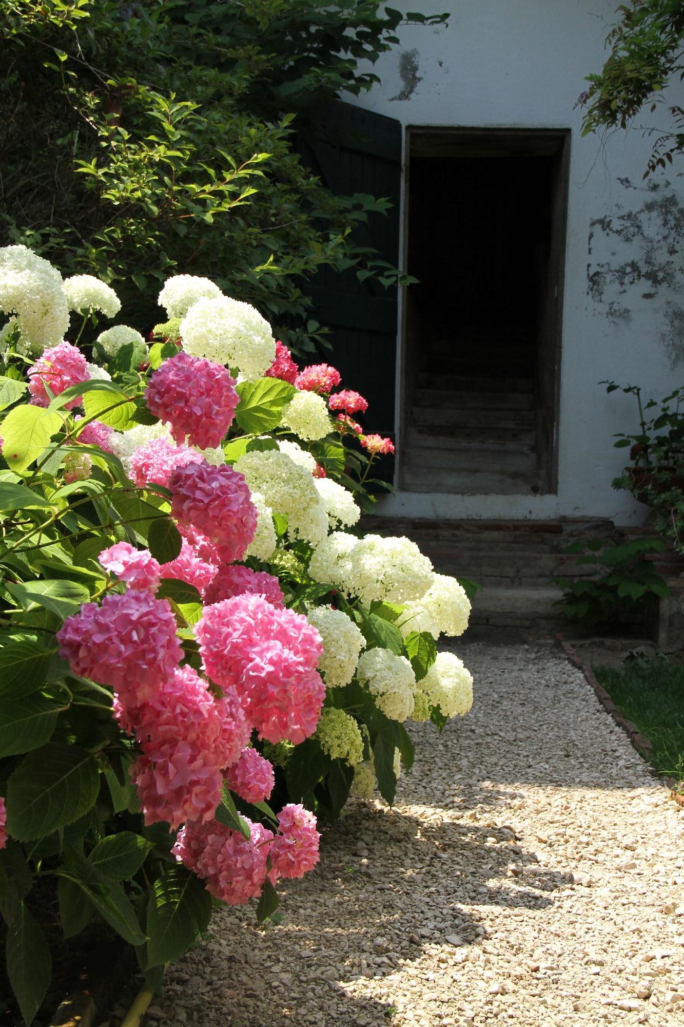 Vista Exterior Ombre Rose