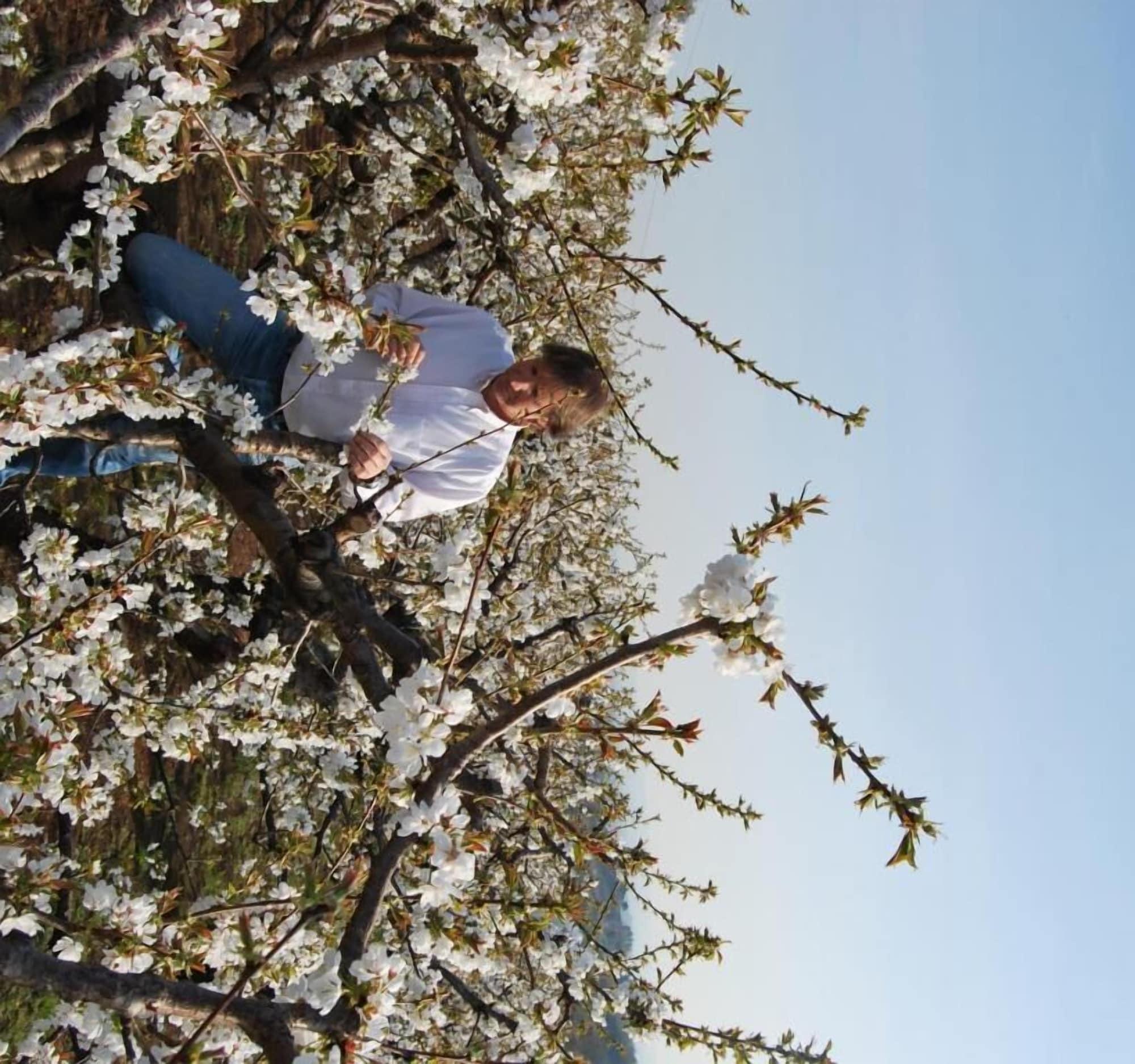 Comodidades del Alojamiento Tenuta Fortelongo