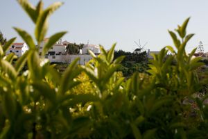 Alojamiento - Ericeira Chill Hill 2 – Peach Garden