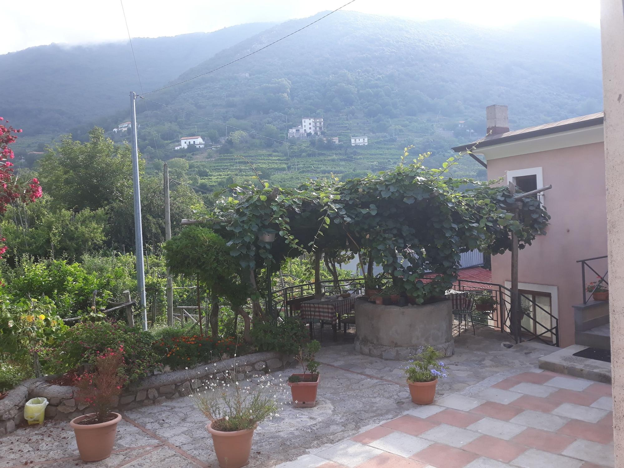 Vista Exterior Agriturismo Mare e Monti