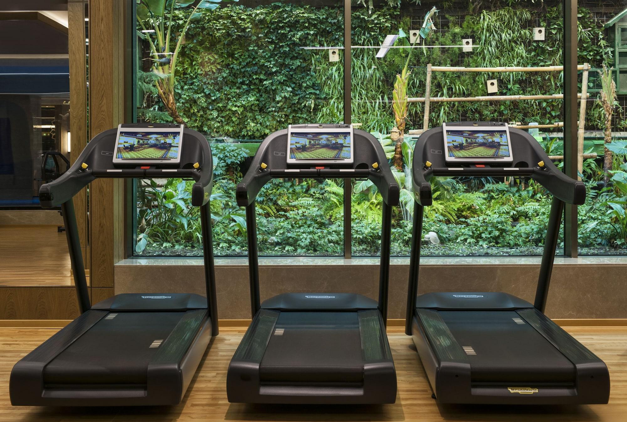 Gimnasio Elite World Grand Istanbul Basın Ekspres