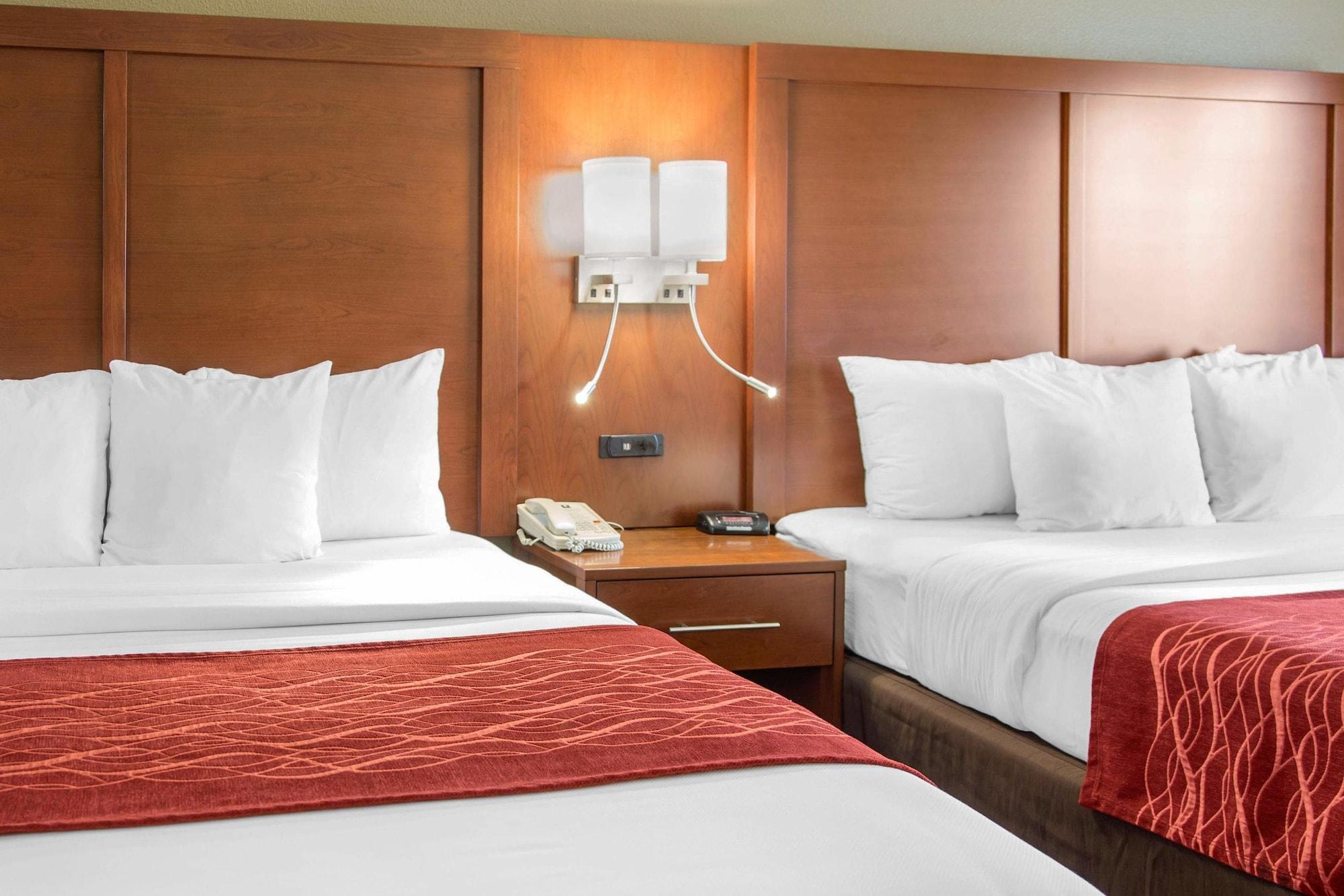 Habitación Comfort Inn and Suites San Francisco Airport North