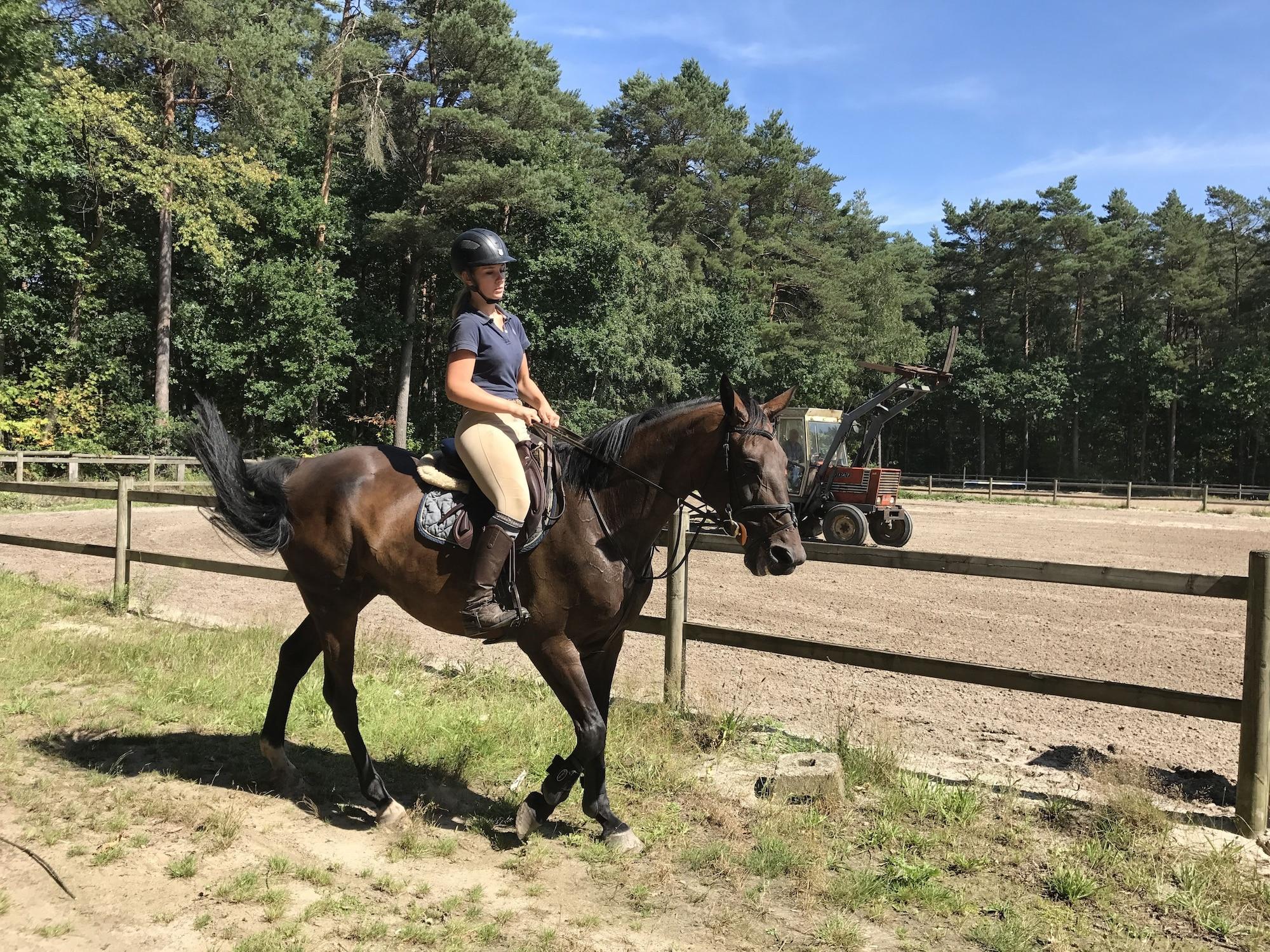 Instalaciones Recreativas t Welthof