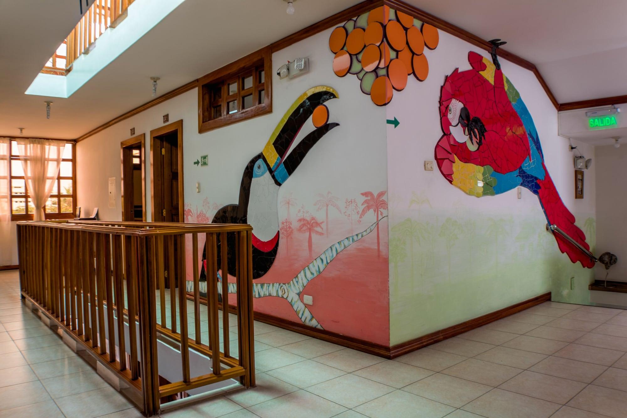 Comodidades del Alojamiento Hostal Macaw