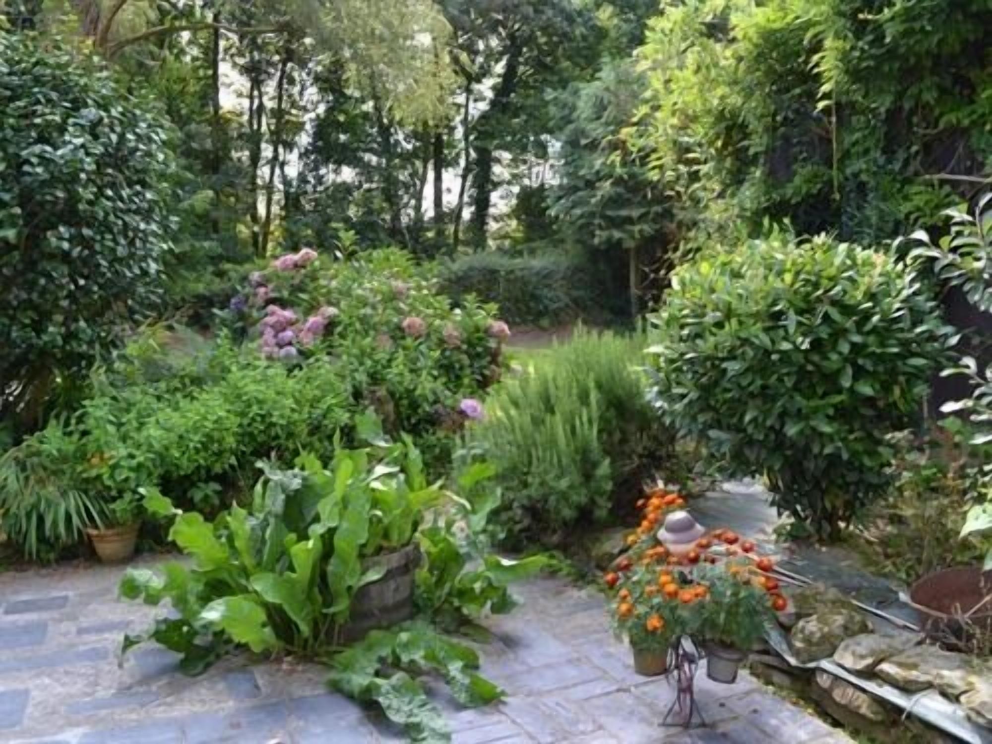 Vista Exterior B&B ~ Repos Sous les Arbres