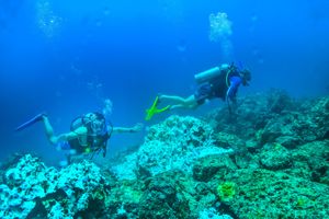 Actividad - Buceo en las Islas Marietas