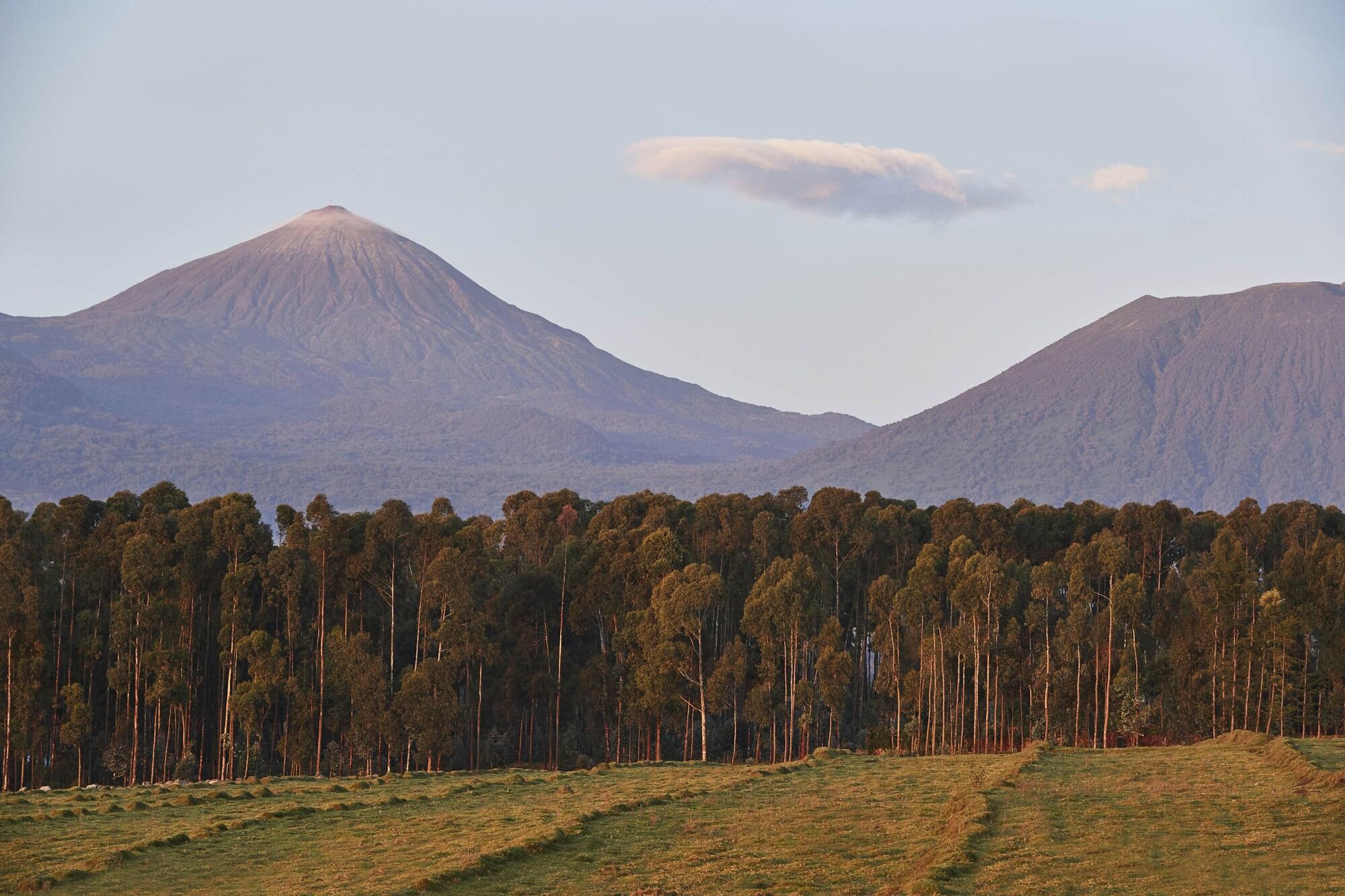 Vista Exterior One&Only Gorilla's Nest