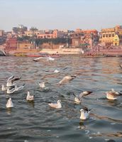 Alojamiento - Shiv Kashi P Guest House By Glitz Hotels