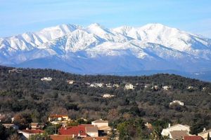 Alquiler Vacacional - House in Taulis Catalan in the hinterland near Perpignan