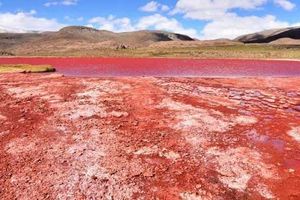 Actividad - Excursión a la laguna Roja