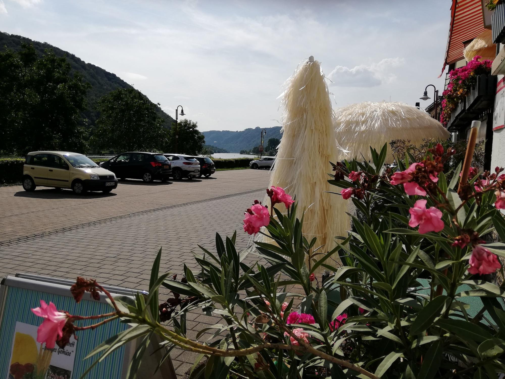 Restaurant Gasthaus Zur Traube