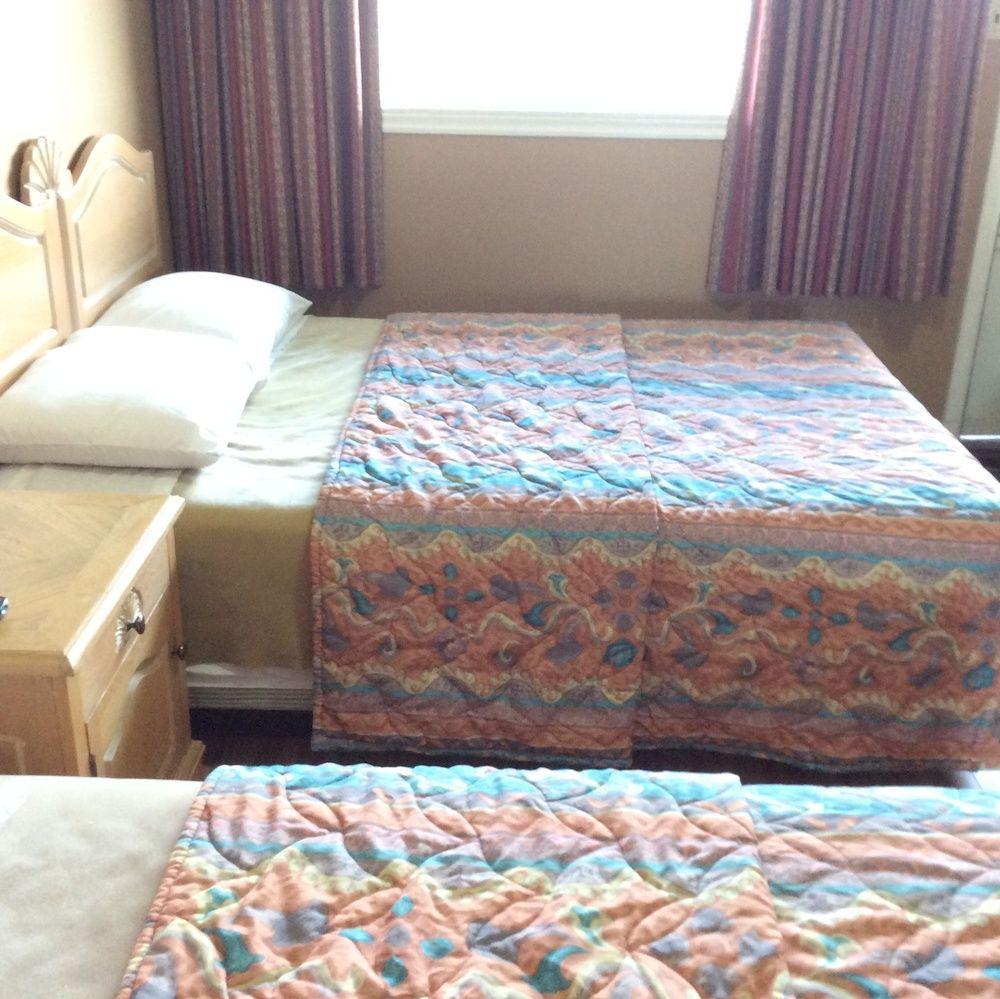 Habitación Lion Motel