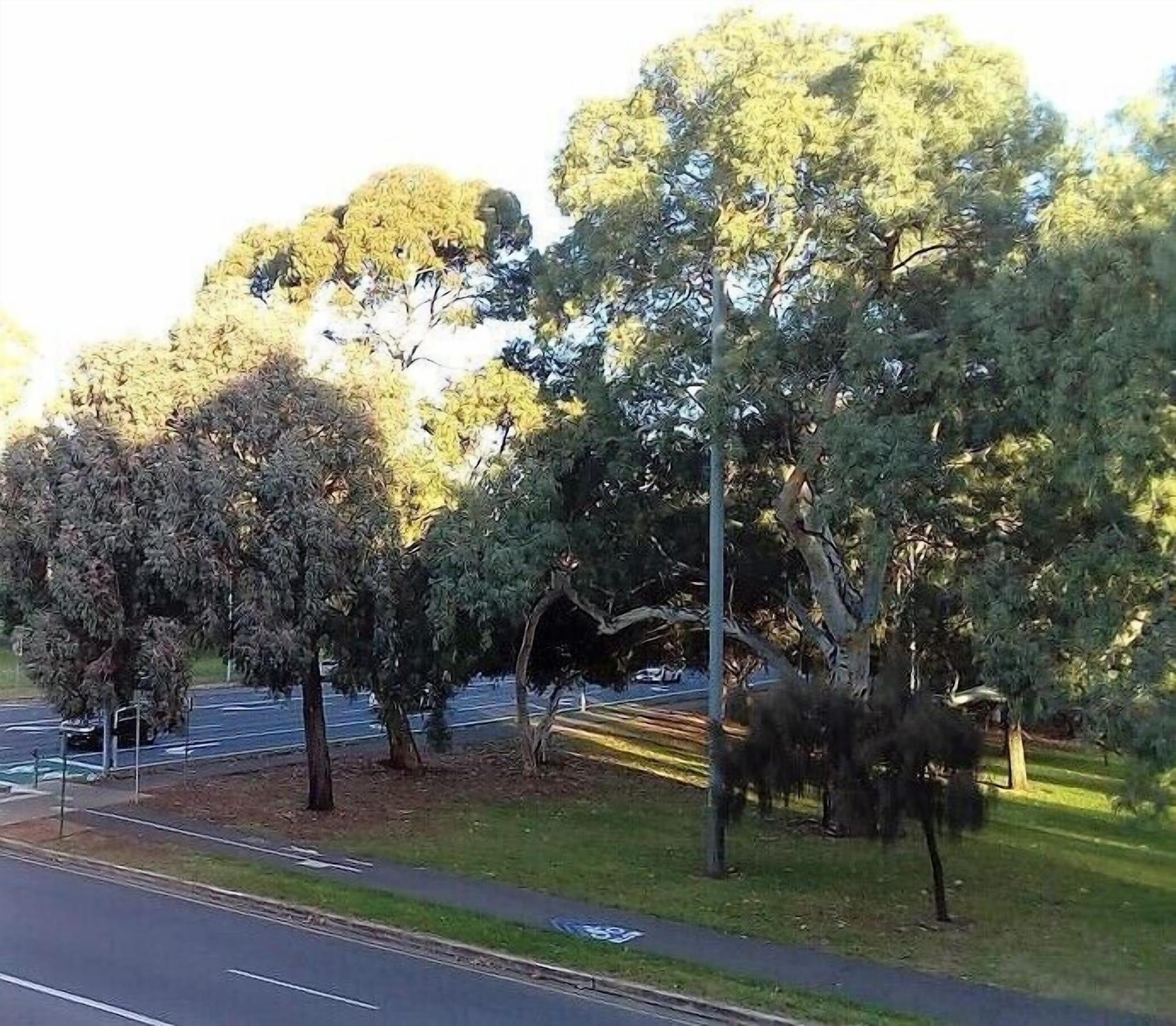 Comodidades del Alojamiento Adelaide Pulteney Motel