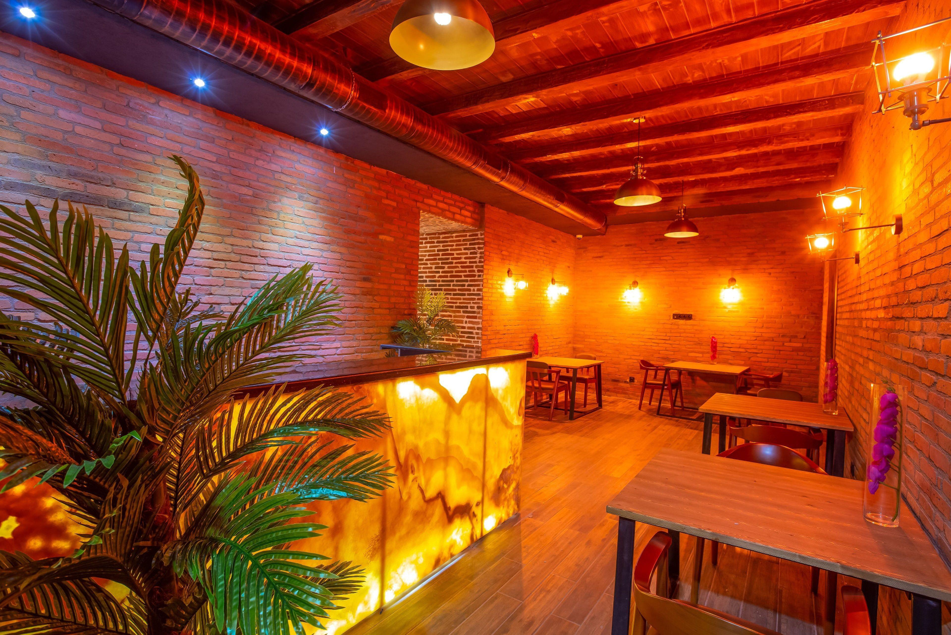 Bar/Salón Royal Inn
