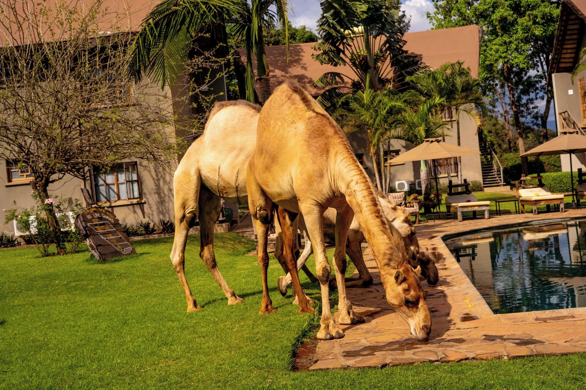 Vista Exterior Weru Weru River Lodge