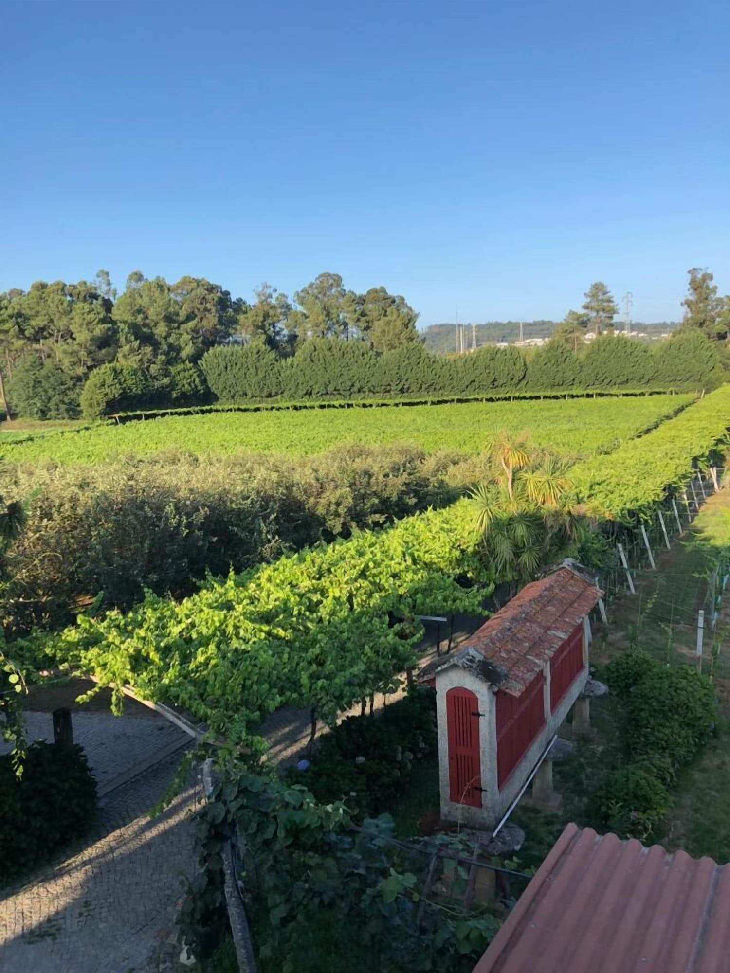 Vista Exterior Quinta de Maderne