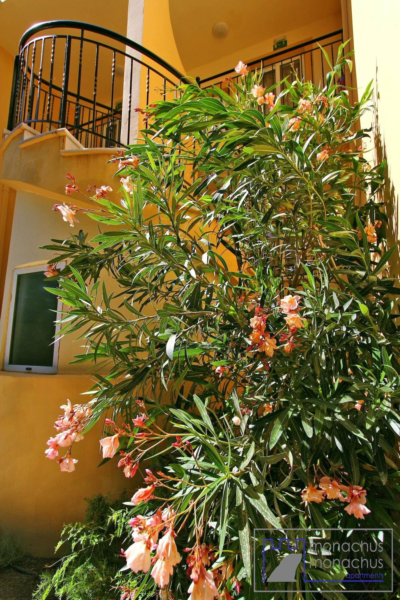 Varios Monachus Monachus Apartments