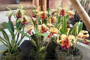 Alojamiento - Bosques de la pradera