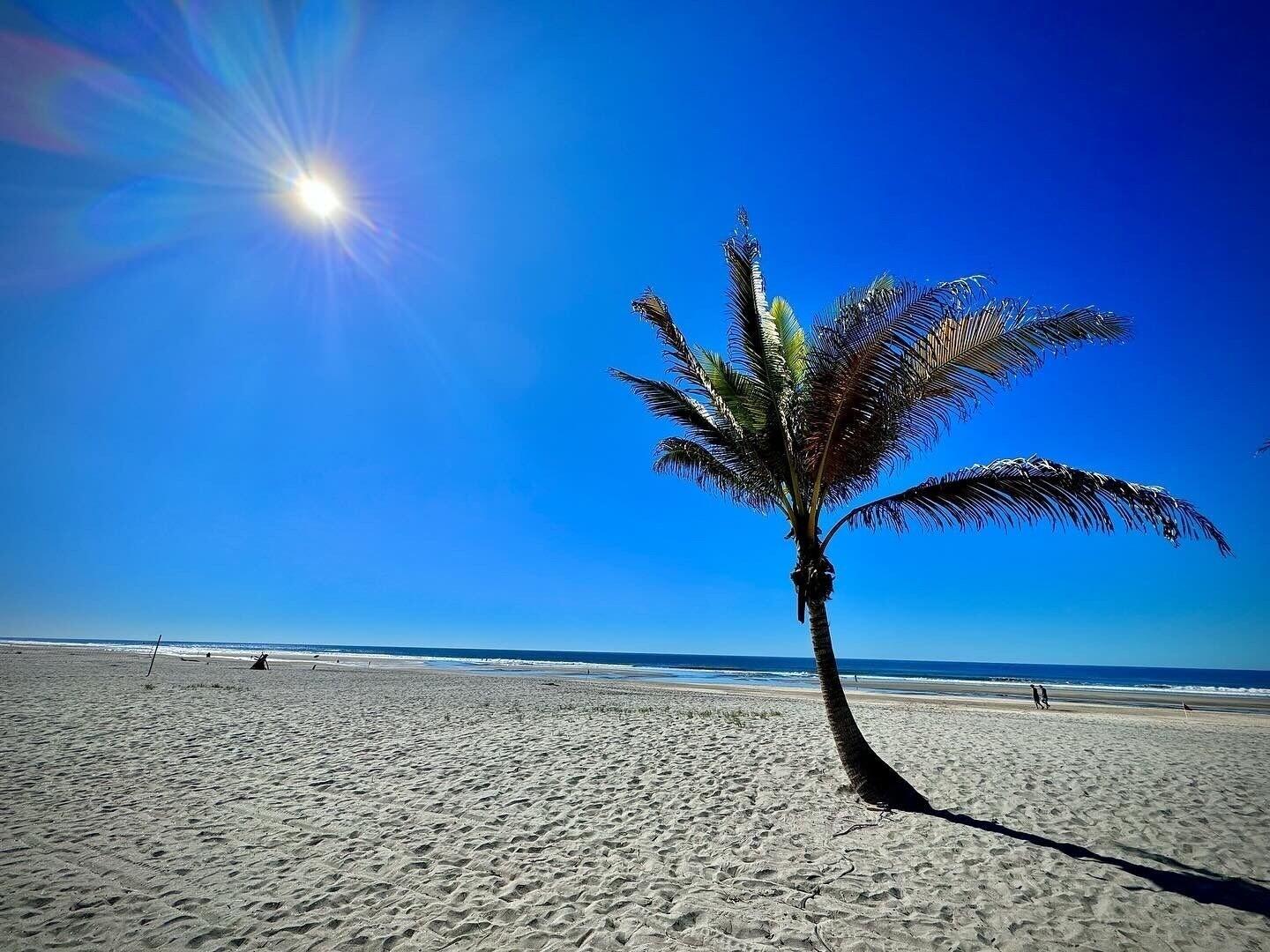 Playa HOTEL TESORO BEACH