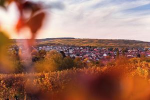 Alquiler Vacacional - Appartement Jeannala, Alsatian immersion in authentic Riquewihr