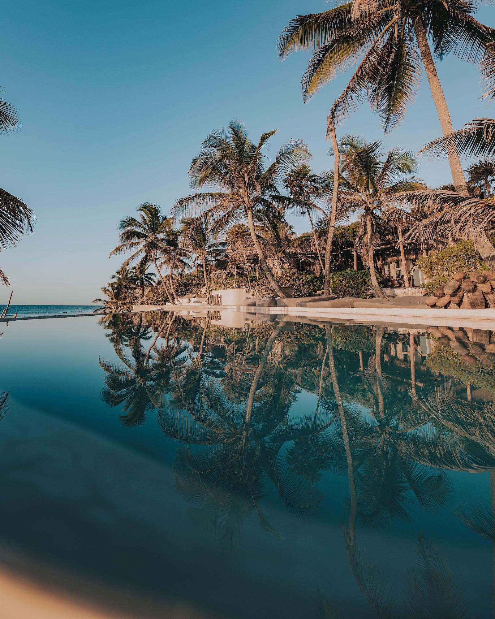 Varios Art Village Tulum