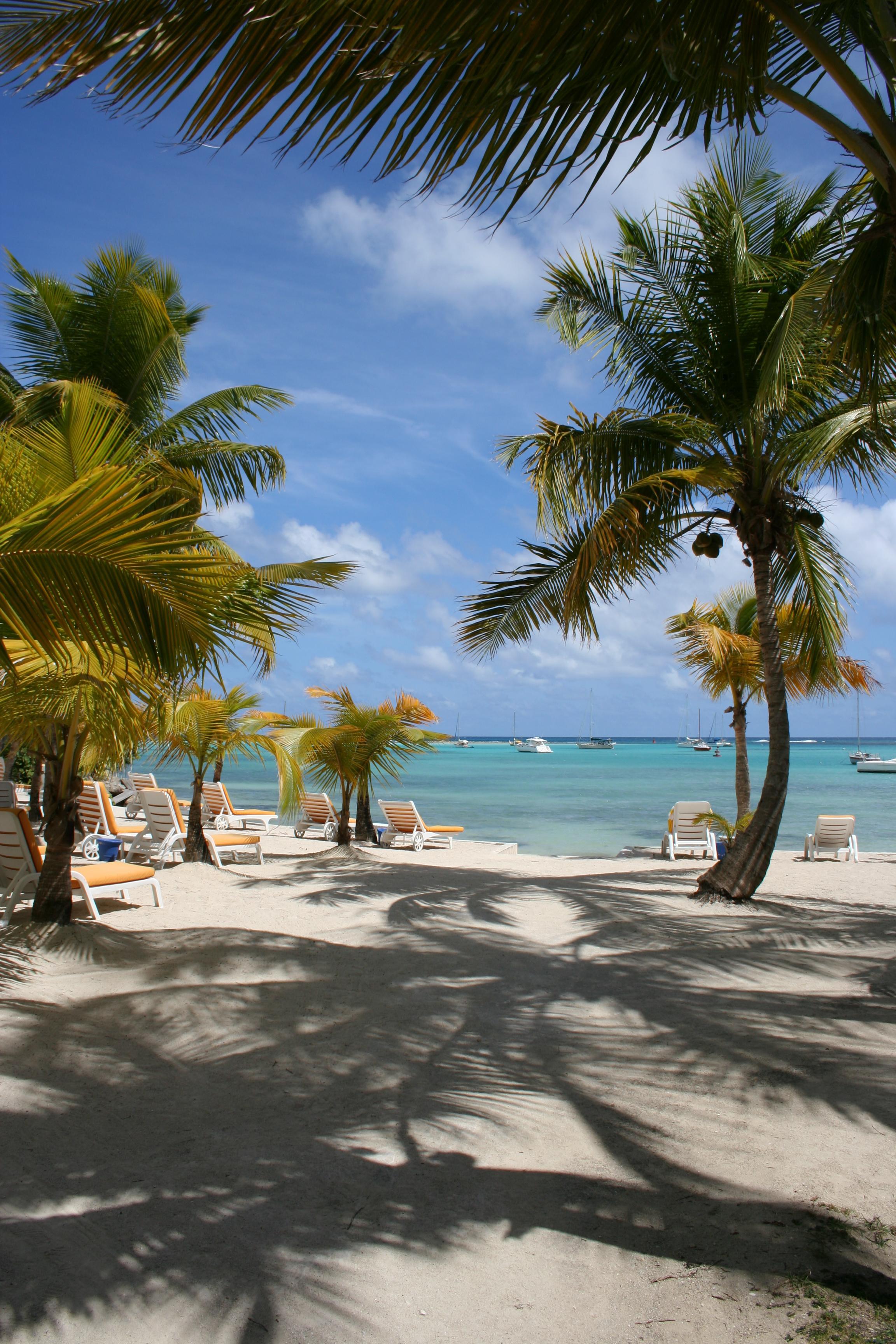 Playa La Cocoteraie